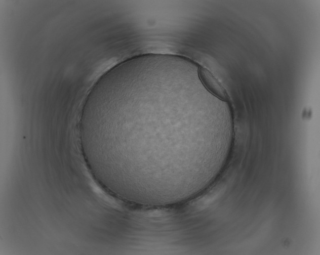 X0000092320433200709281409