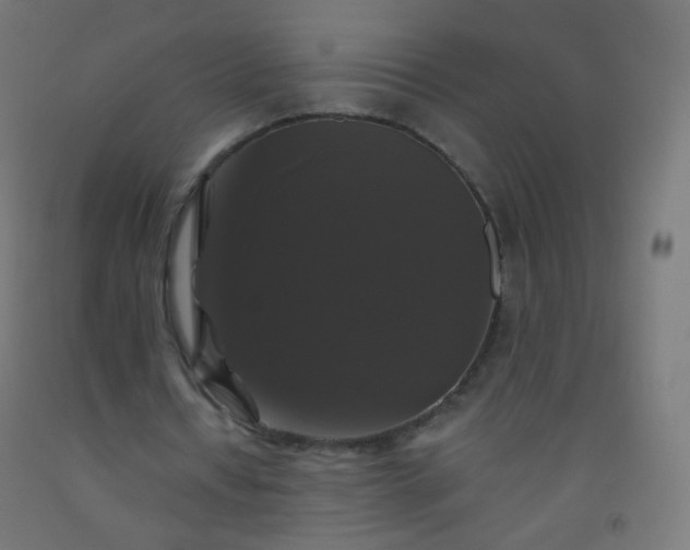 X0000092320434200709281409