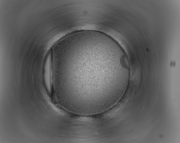 X0000092320437200709281409