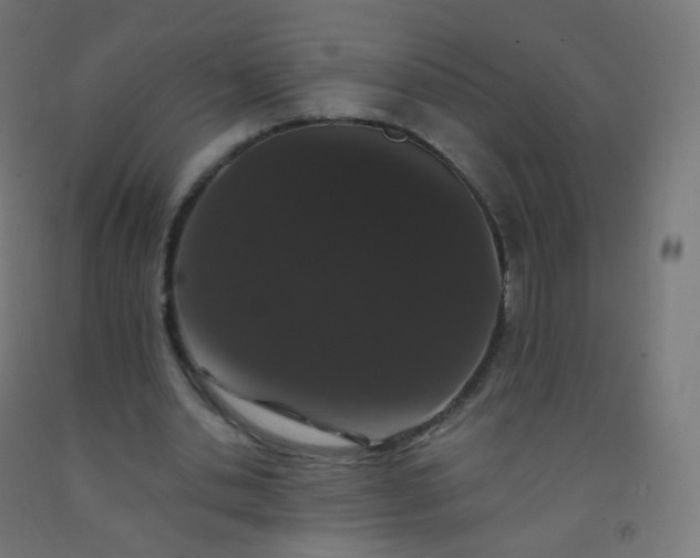 X0000092320438200709281409