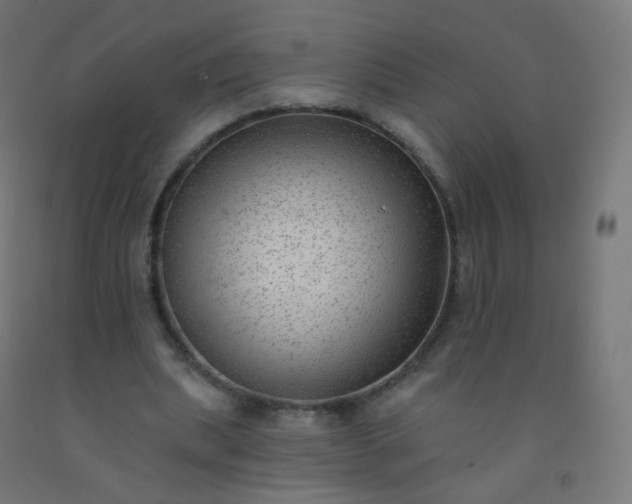 X0000092320439200709281409