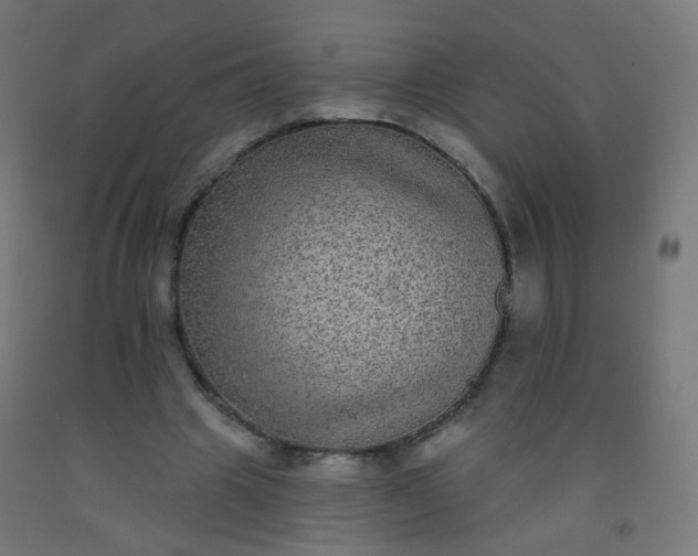 X0000092320441200709281409