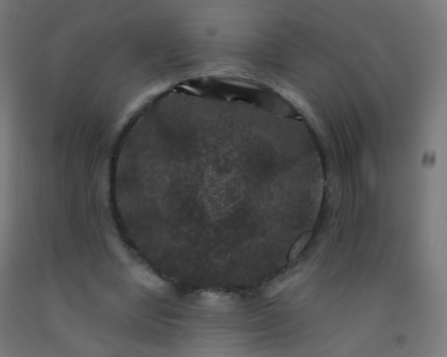 X0000092320442200709281409