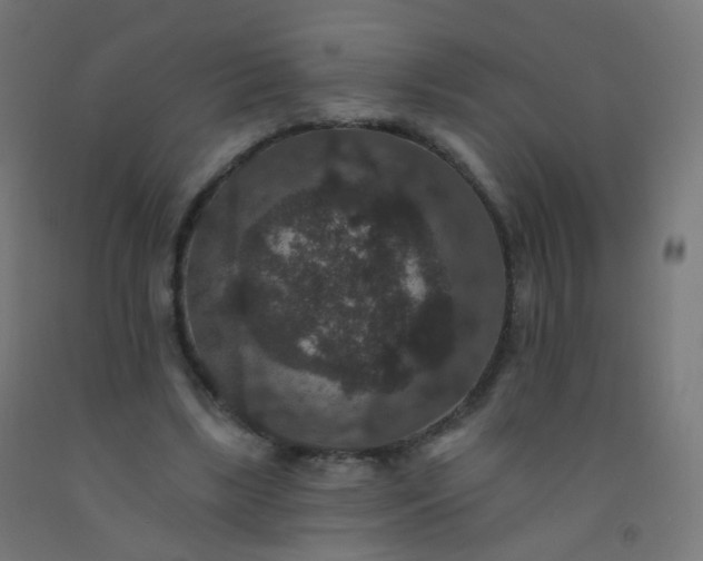 X0000092320443200709281409