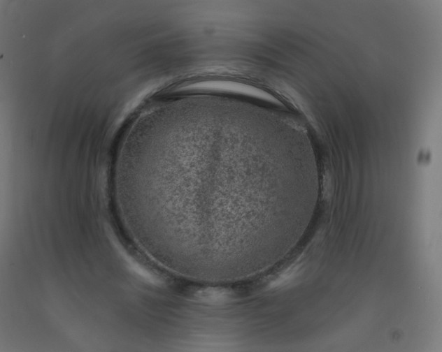 X0000092320444200709281409