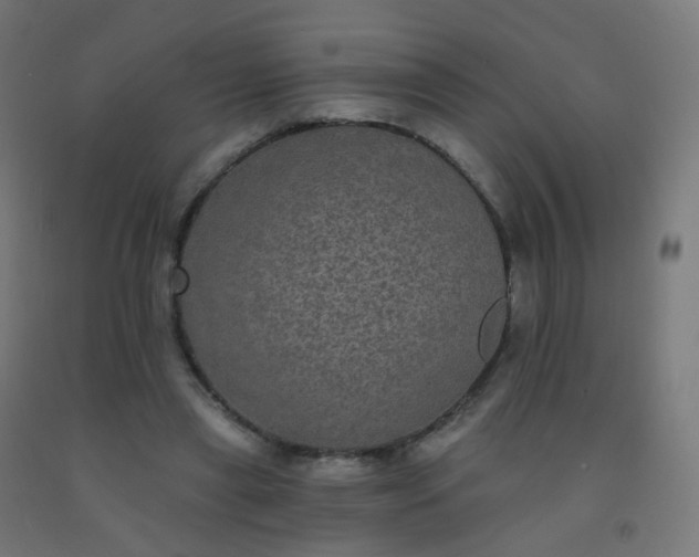 X0000092320445200709281409