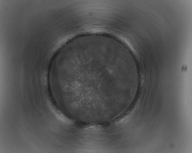 X0000092320447200709281409