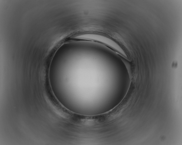 X0000092320448200709281409