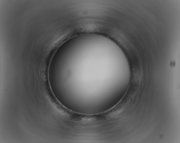 X0000092320450200709281409