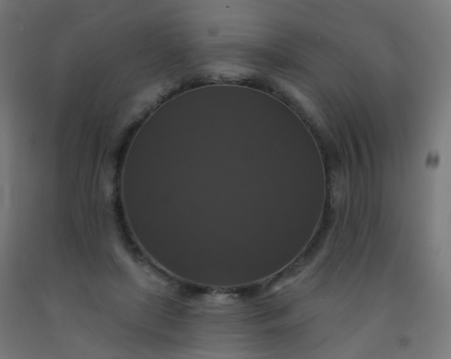 X0000092320451200709281409