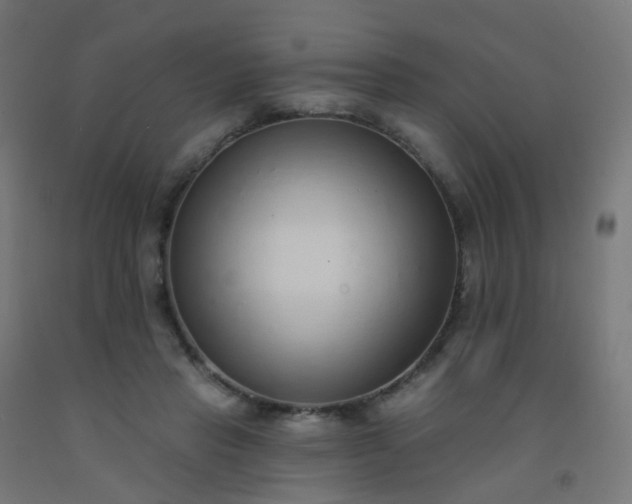 X0000092320453200709281409