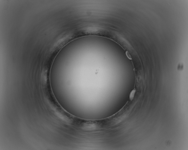 X0000092320454200709281409