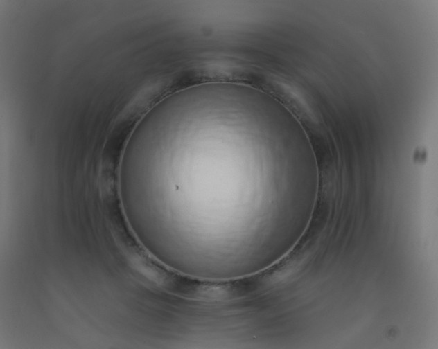 X0000092320457200709281409