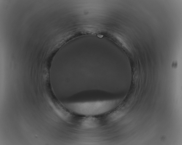 X0000092320459200709281409