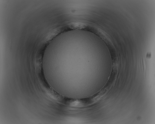 X0000092320460200709281409