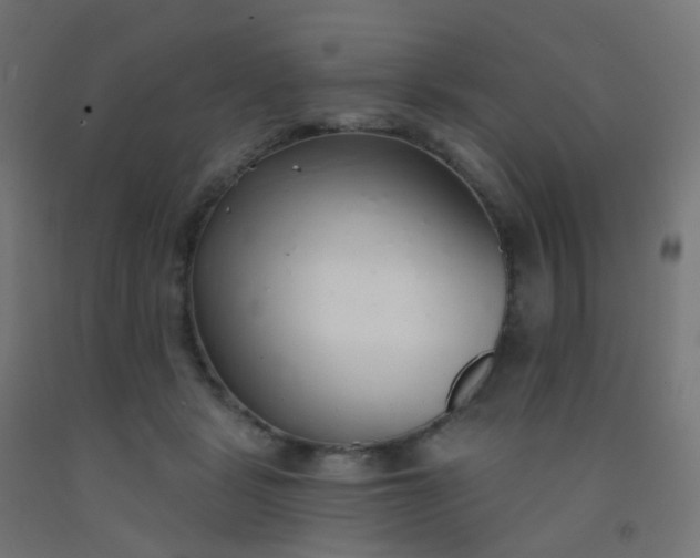 X0000092320461200709281409