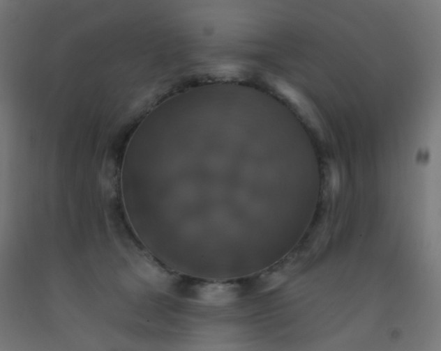 X0000092320465200709281409