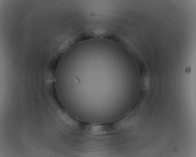 X0000092320472200709281410