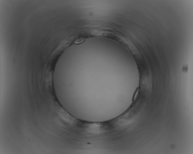 X0000092320473200709281410