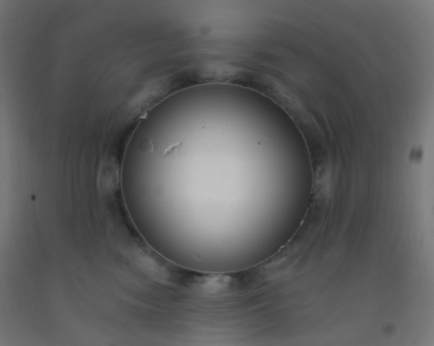 X0000092320474200709281410