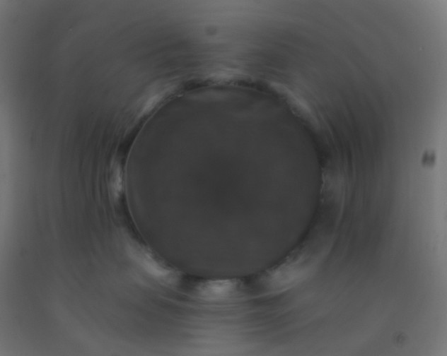 X0000092320479200709281410