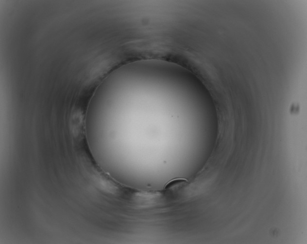 X0000092320480200709281410