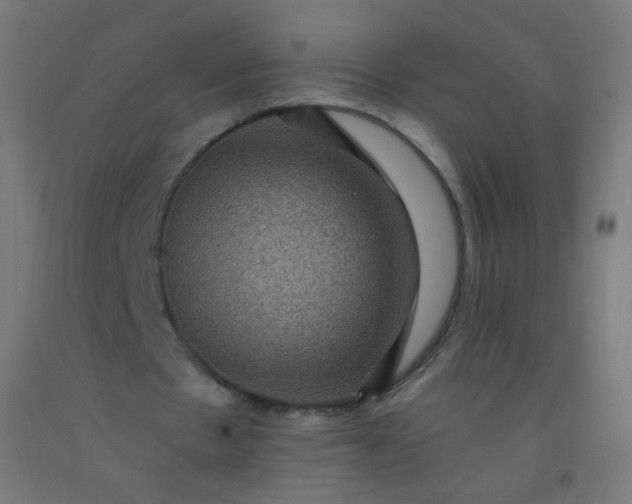 X0000092320481200709281409