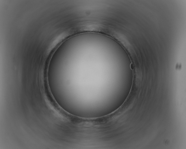 X0000092320482200709281409