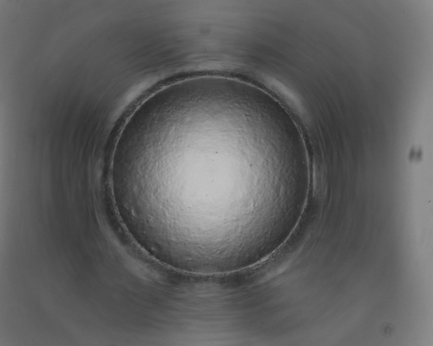 X0000092320483200709281409