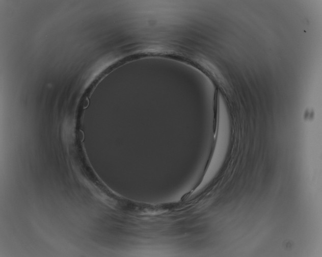 X0000092320484200709281409