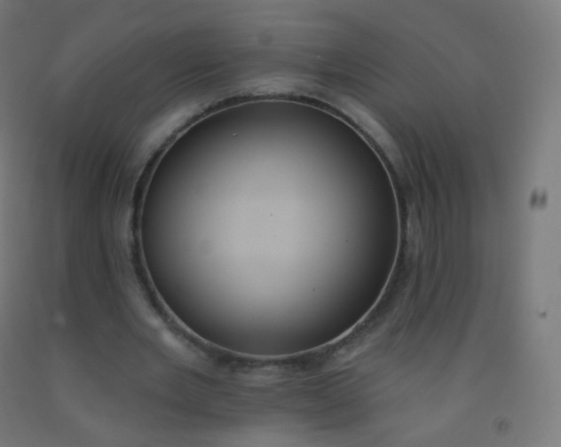 X0000092320485200709281409