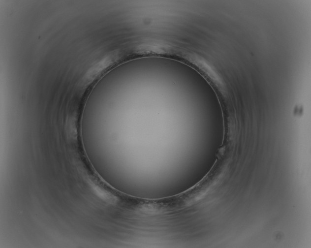 X0000092320489200709281409