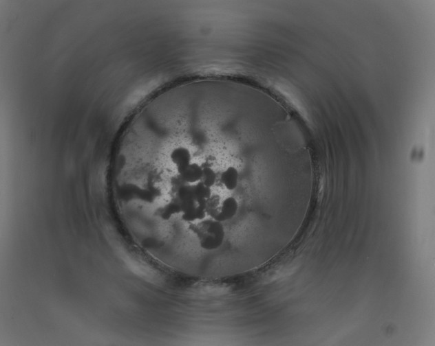 X0000092320491200709281409