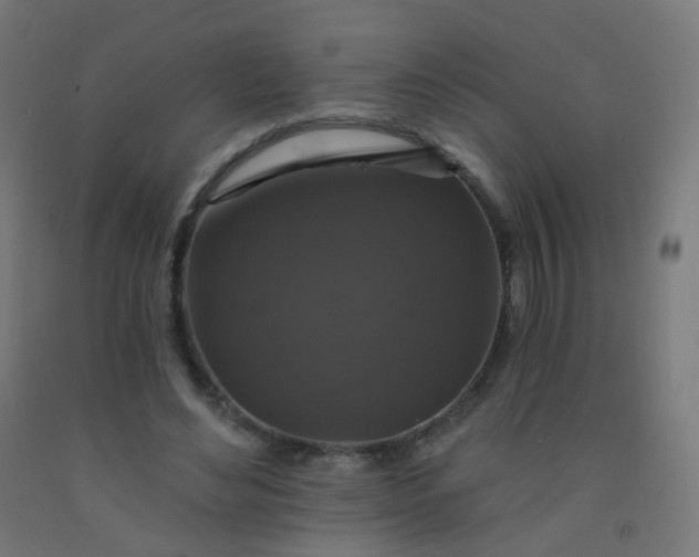 X0000092320492200709281409