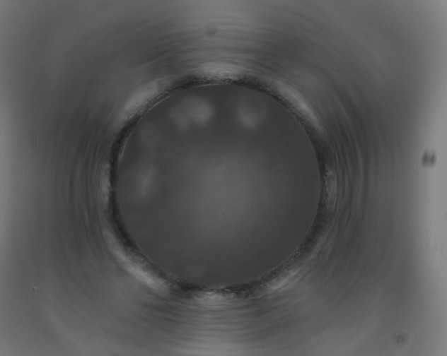 X0000092320494200709281409