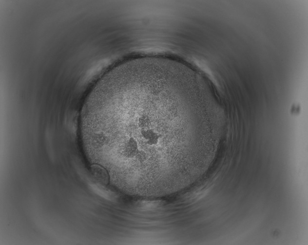 X0000092320495200709281409