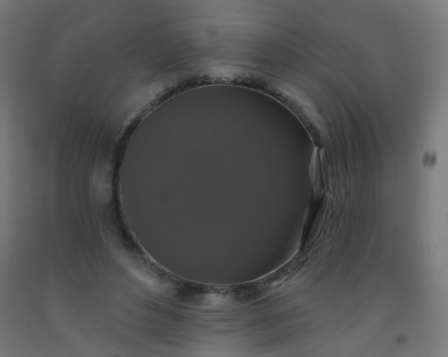 X0000092320496200709281409