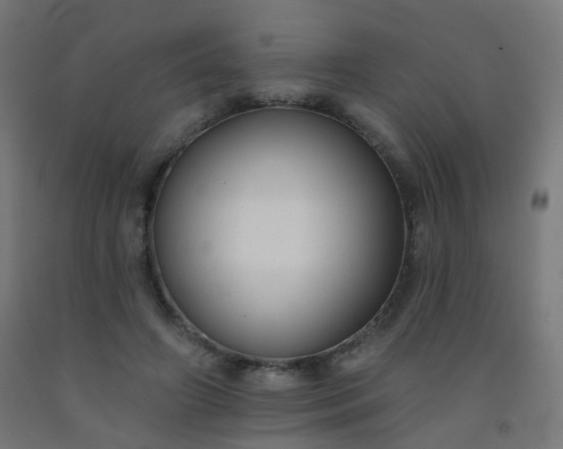 X0000092320498200709281409