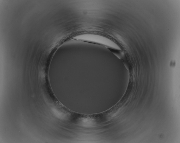 X0000092320500200709281409