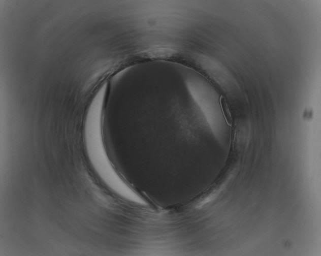 X0000092320501200709281409