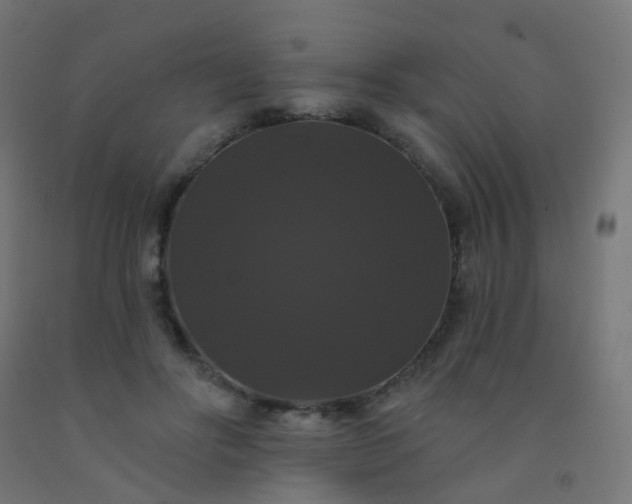 X0000092320502200709281409