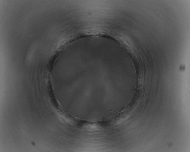 X0000092320503200709281409
