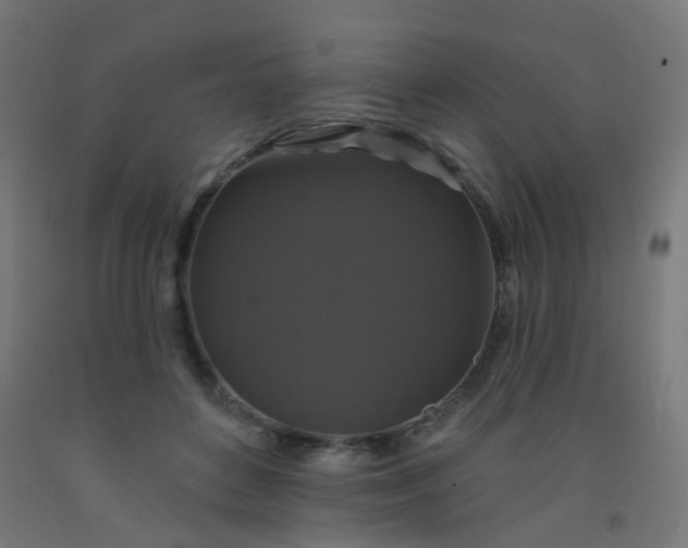 X0000092320504200709281409