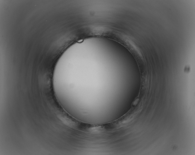 X0000092320505200709281409