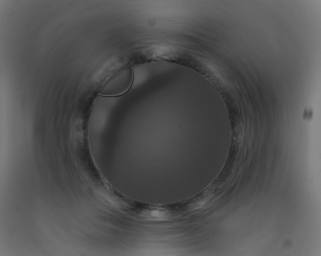 X0000092320506200709281409