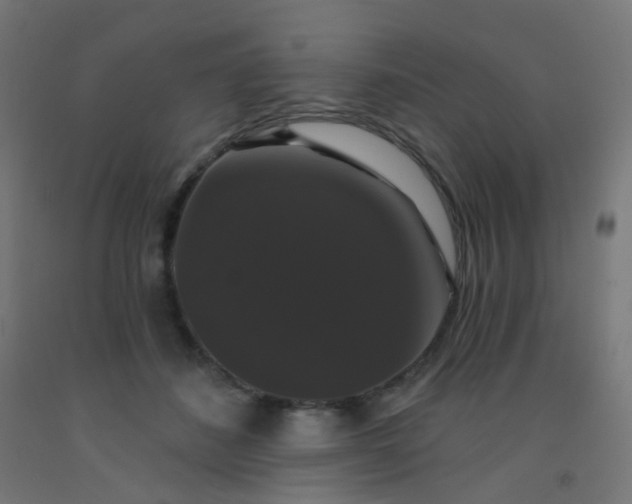 X0000092320508200709281409