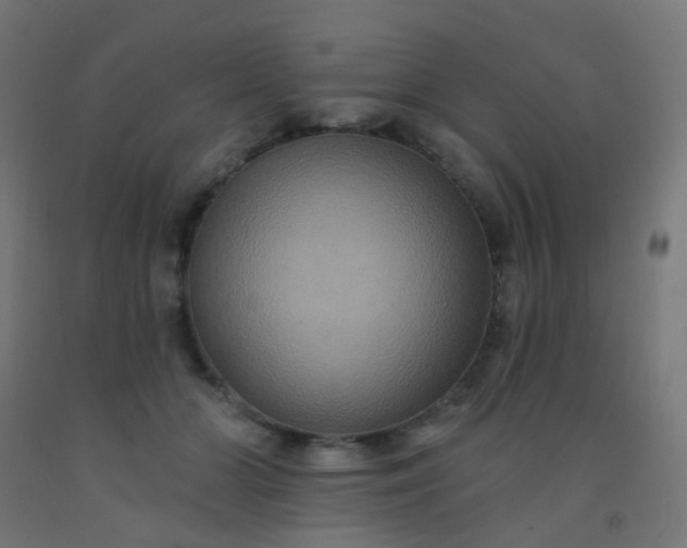 X0000092320510200709281408