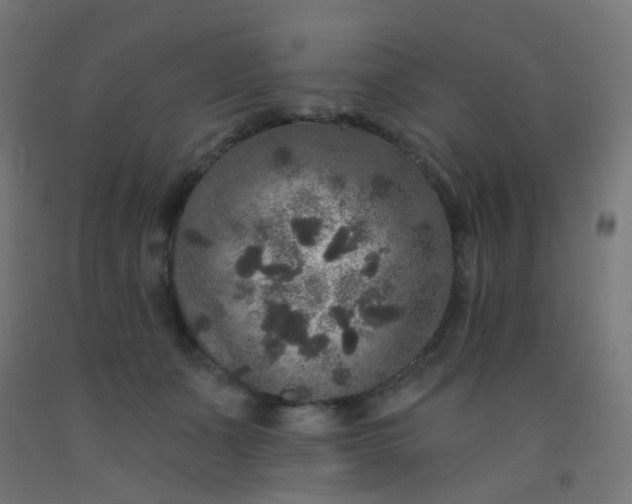 X0000092320511200709281408