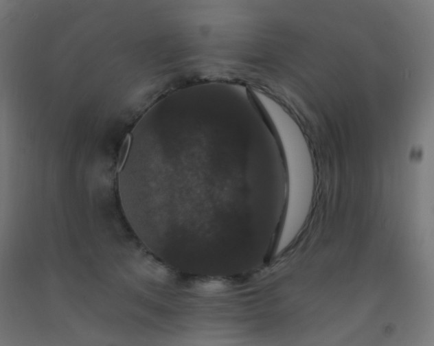 X0000092320513200709281408