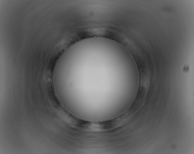 X0000092320518200709281408